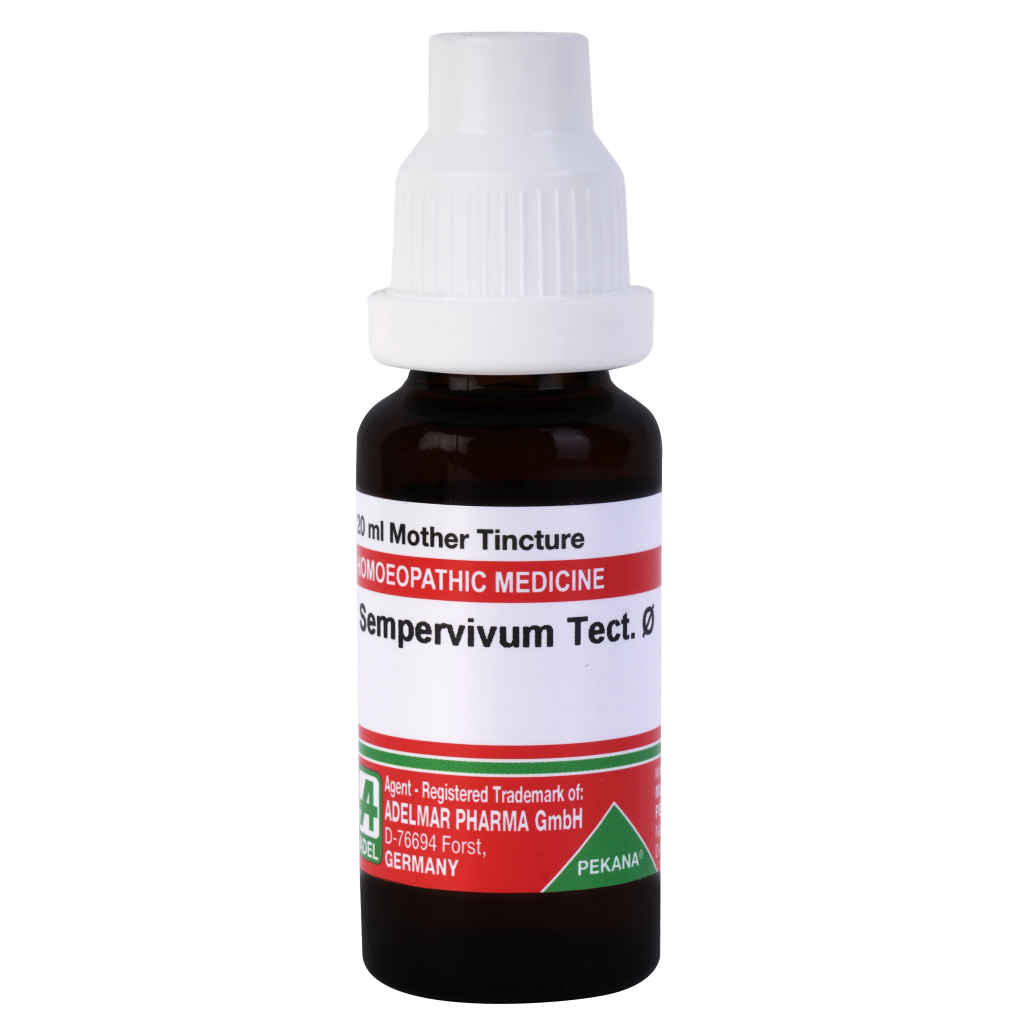 Adel Sempervivum Tectorum 1X (Q) (20ml)